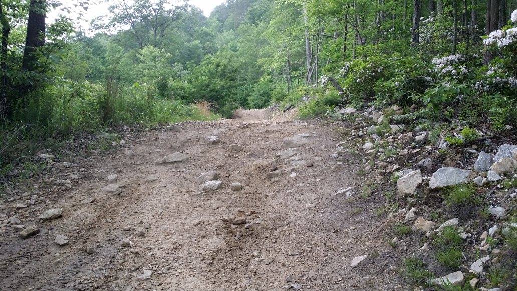 Peter Mill Pond Section 